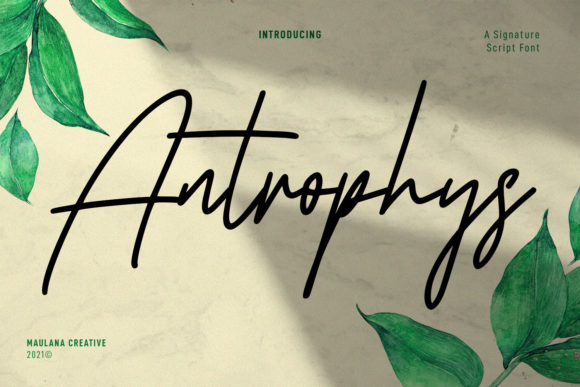 Antrophys Script: A Casual Signature for Modern Design
