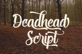 Deadhead Script: A Brush-Lettering Typeface with Real Soul