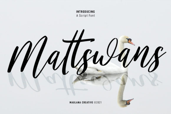 Mattswans Script: Infusing Elegance into Modern Design