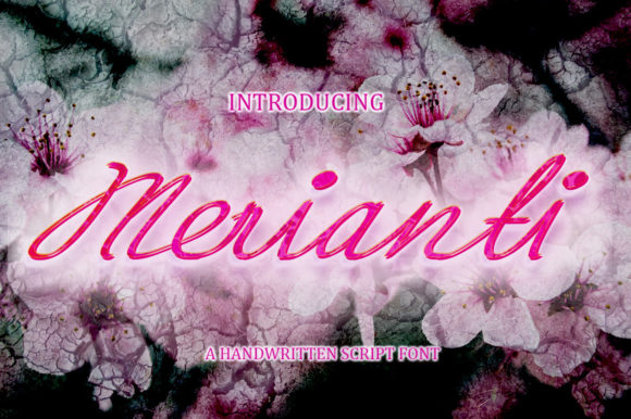 Merianti Script: Elevating Your Visual Storytelling