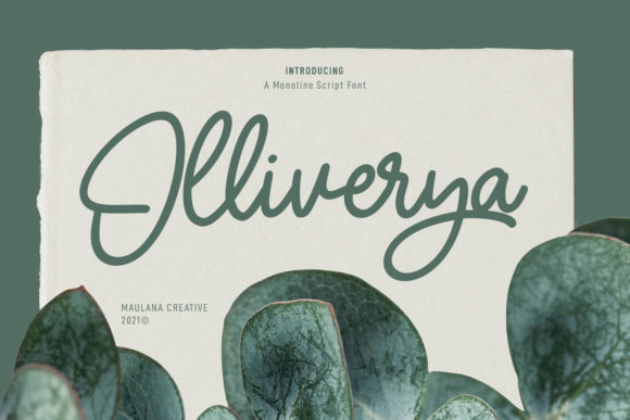 Olliverya Script: Where Elegance Meets Everyday Creativity