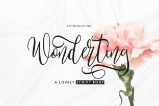 Wonderting Script: Your Go-To Font for DIY and Handmade Charm